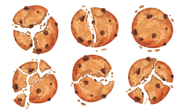 Biscoitos de aveia com migalhas de chocolate isolados em um conjunto vetorial de fundo branco
