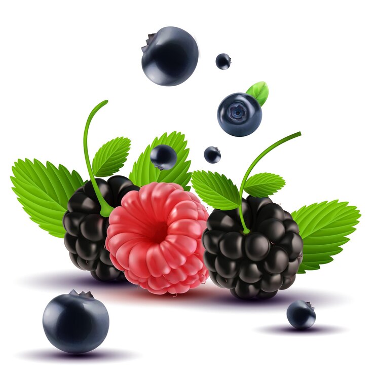 Vetor blackberry inteiro fresco e redberry com folha verde de fundo um monte de blackberries