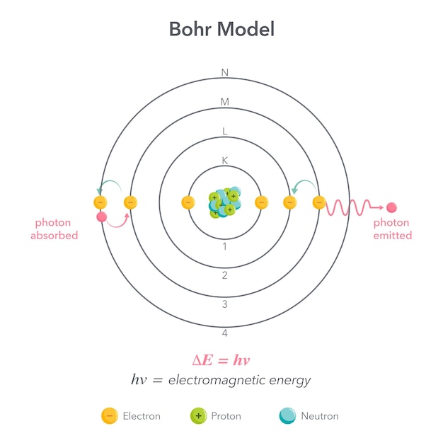 Bohr modelo física química átomo diagrama de ilustração vetorial