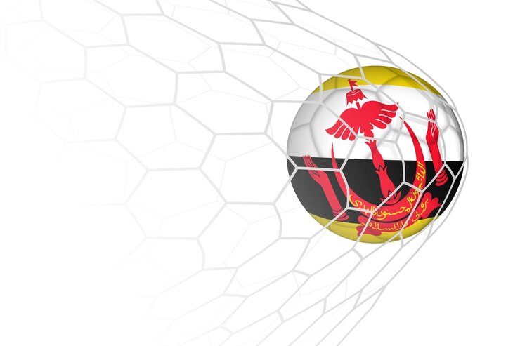 Vetor bola de futebol com a bandeira de brunei na rede