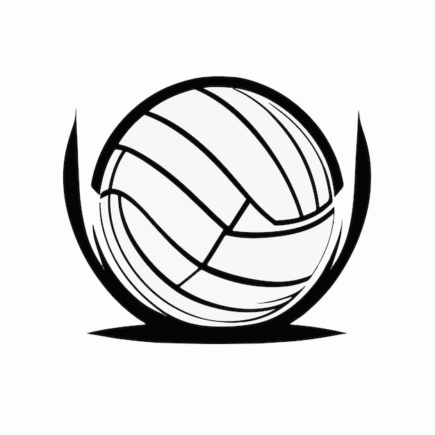 Bola de voleibol