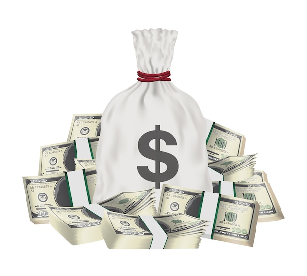 bolsa de dinheiro com grupo de notas de dólar de pacote