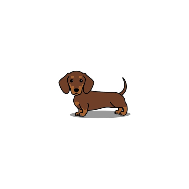 Vetor bonito cão bassê chocolate e ilustração vetorial de desenho animado bronzeado