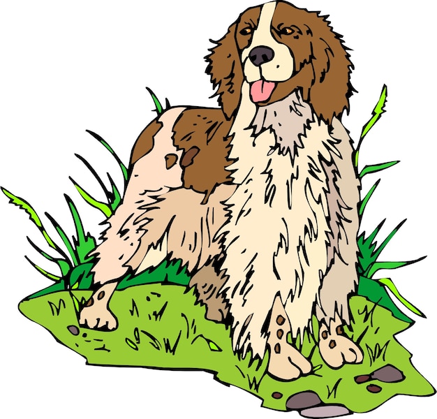 Vetor bonito cão springer spaniel inglês desenho animado animais de estimação desenhados à mão ilustração em quadrinhos