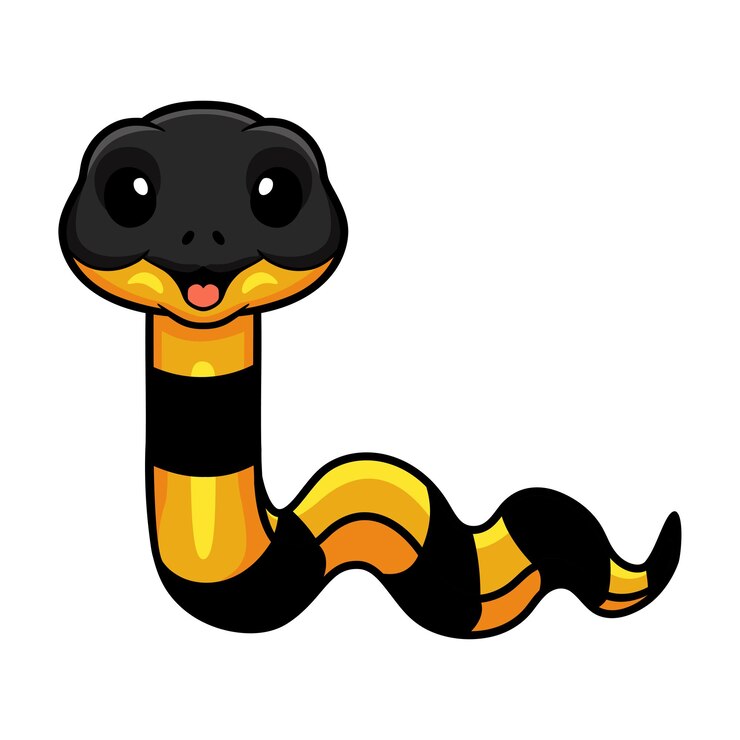 Vetor bonito desenho animado de krait bungarus candidus
