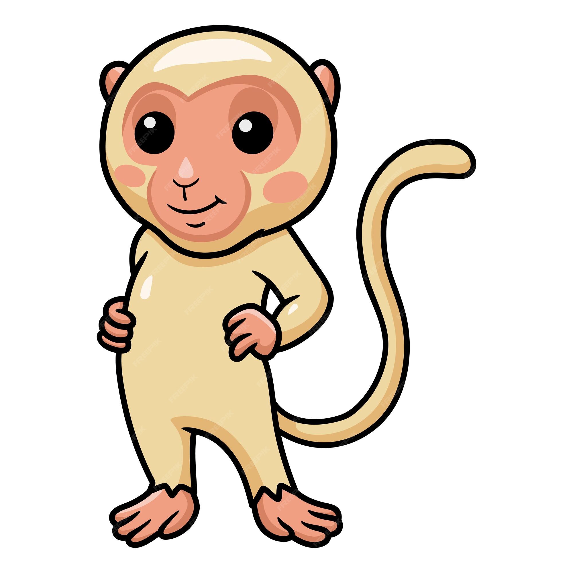 Macaco Albino Insano Clipart De Stock, Royalty-Free