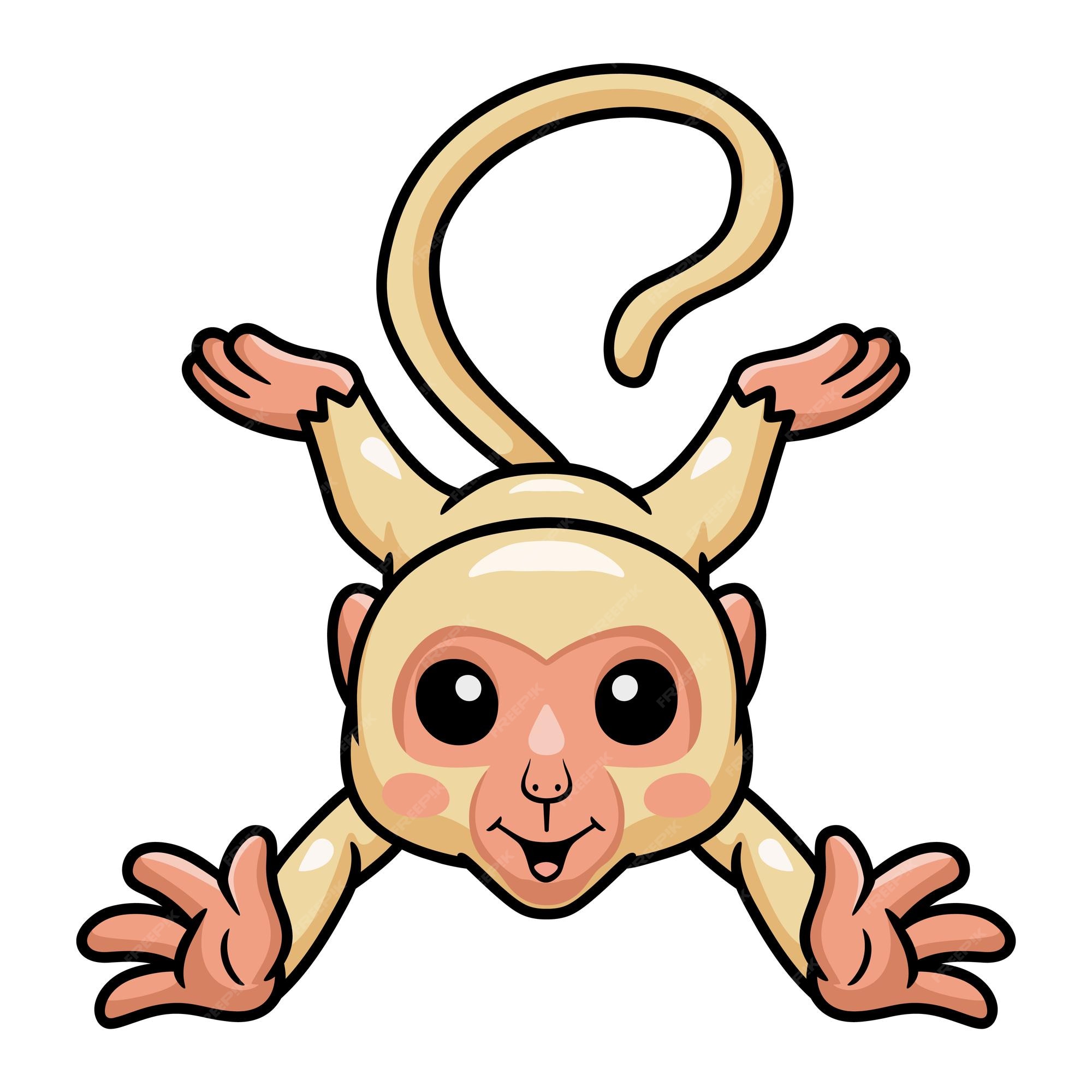 Macaco Albino Insano Clipart De Stock, Royalty-Free