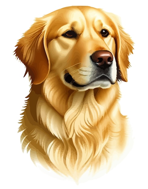 Vetor bonito golden retriever de ilustração vetorial de raça de cachorro com fundo branco