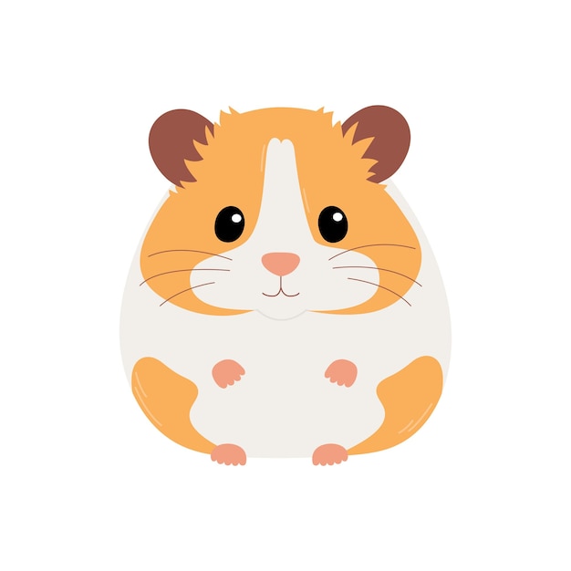 Bonito hamster sírio laranja e branco isolado no fundo branco ilustração plana do vetor