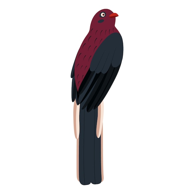 Vetor bonito pássaro trogon de desenho animado ilustração vetorial plana