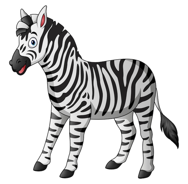 Bonito, zebra, mascote, caricatura