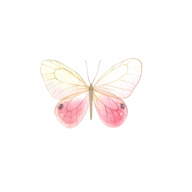 Vetor borboleta aquarela impressão de pôster em aquarela pintura arte sala decoração design de parede abstrato