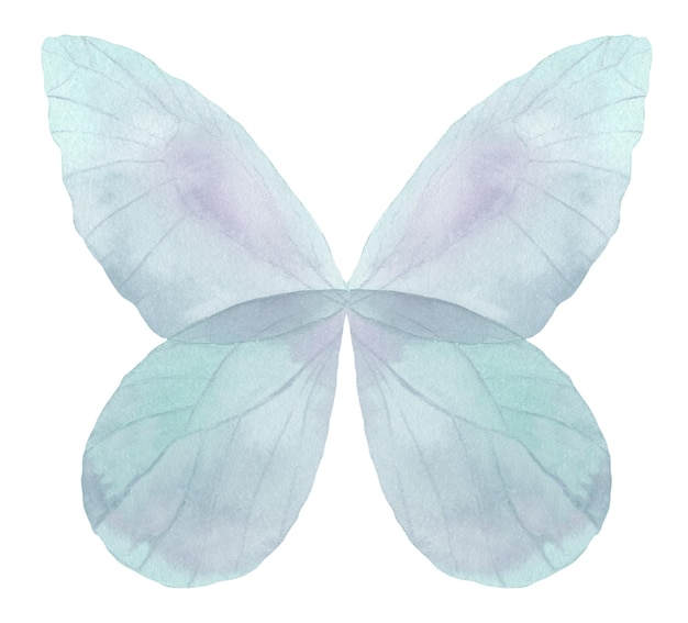 Borboleta azul aquarela Ilustração colorida de borboleta azul
