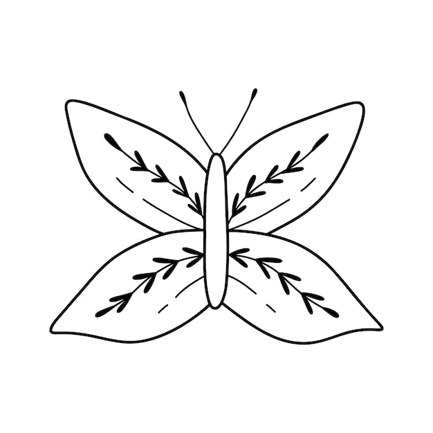 Borboleta bonita em estilo doodle borboleta isolada em fundo branco borboleta linear ilustração vetorial