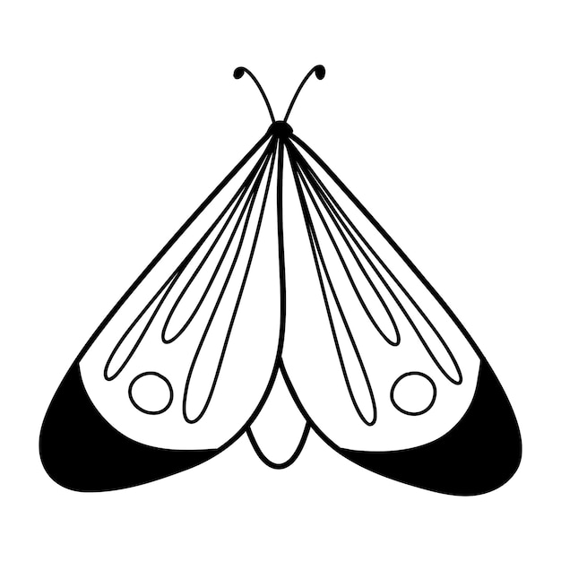 Borboleta bonita em estilo doodle borboleta isolada em fundo branco borboleta linear ilustração vetorial