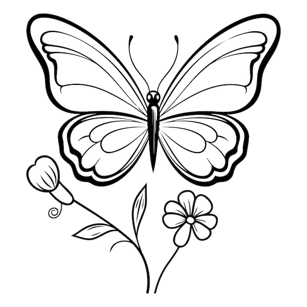 Vetor borboleta e flor em preto e branco ilustração vetorial