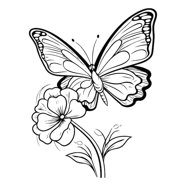 Vetor borboleta e flor ilustração vetorial em preto e branco