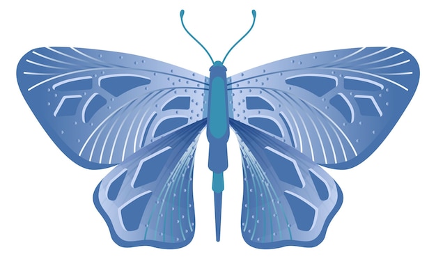 Borboleta noturna padrão de fantasia animal mariposa alada
