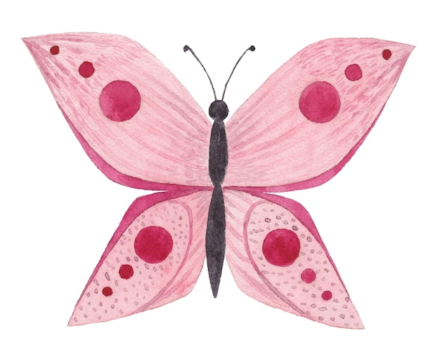 Borboleta rosa aquarela com padrões nas asas