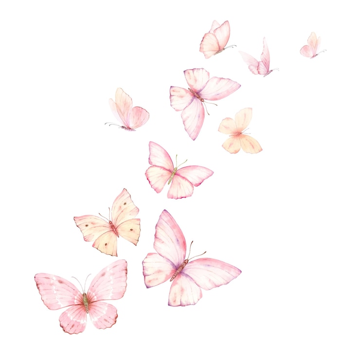 Vetor borboletas de aquarela vetoras voadoras de pêssego rosa