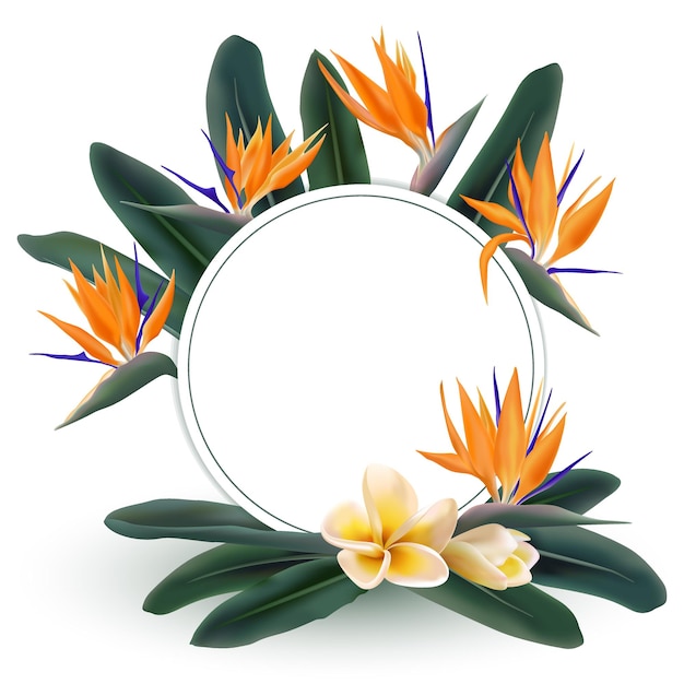 Borda circular com plantas tropicais ave do paraíso e moldura de anel floral modelo de flor franipani