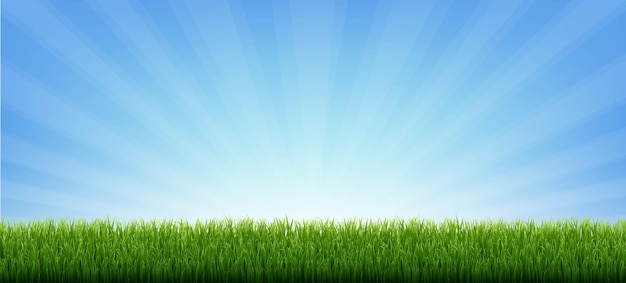 Borda de grama verde com sunburst