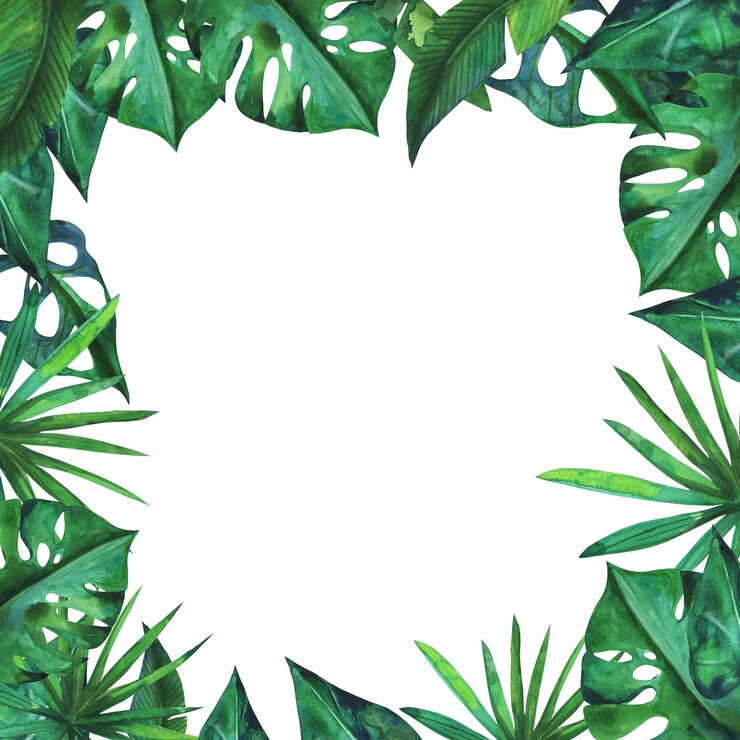 Vetor borda de quadro de retângulo de folha de monstera botânica.