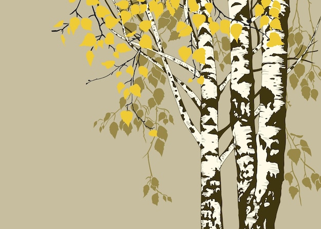 Bosque de bétulas no outono painel de cartão de fundo vetorial ilustração da natureza