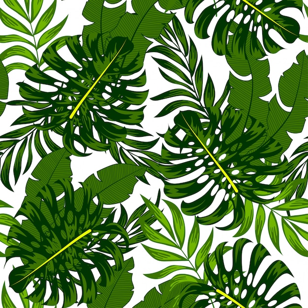 Botânica sem costura padrão tropical com plantas brilhantes e folhas em um fundo branco