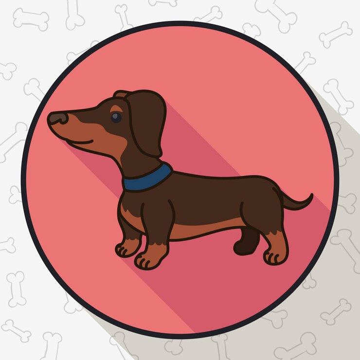 Vetor botão com bonito dachshund em estilo plano e longa sombra