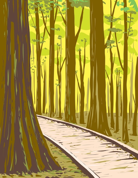 Bottomland hardwood forest no parque nacional de congaree carolina do sul arte de cartaz da wpa