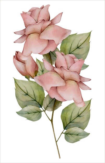 Bouquet de flores de rosas de outono bege empoeirado isolado no fundo branco. clipart floral de outono