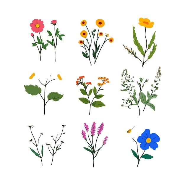 Bouquet de flores