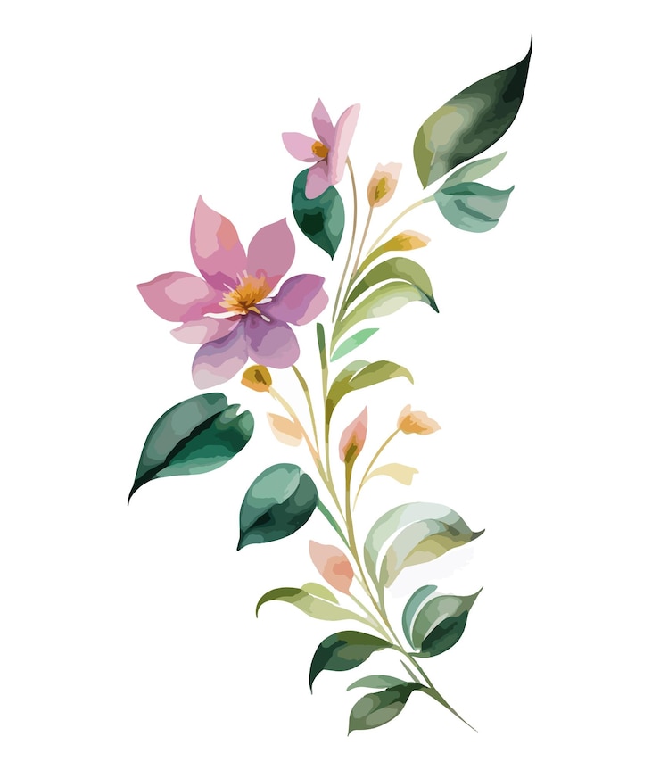 Vetor bouquet floral de aquarela isolado em fundo branco coleção de flores aquareladas