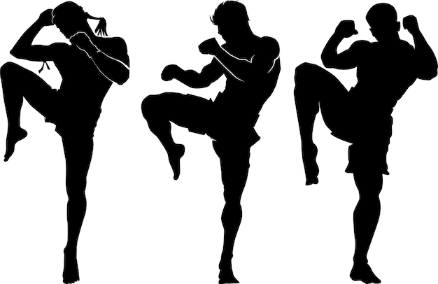Boxe tailandês Arte de autodefesa em fundo branco artes marciais bodyvector