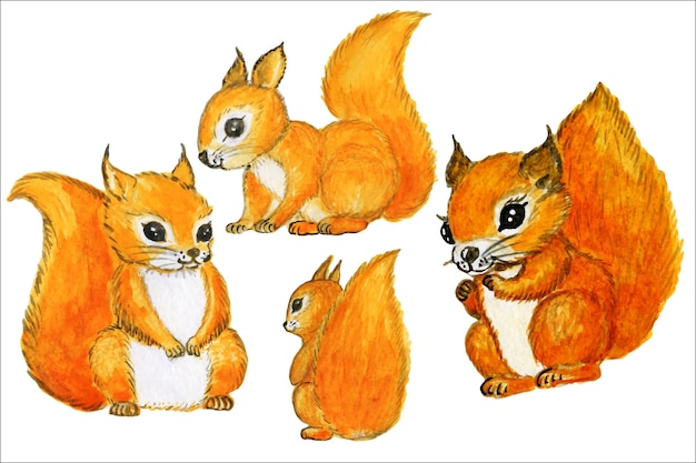 Brinquedos bonitos em aquarela animais clipart infantil adorável ilustração de coelho bebê Coelhos urso