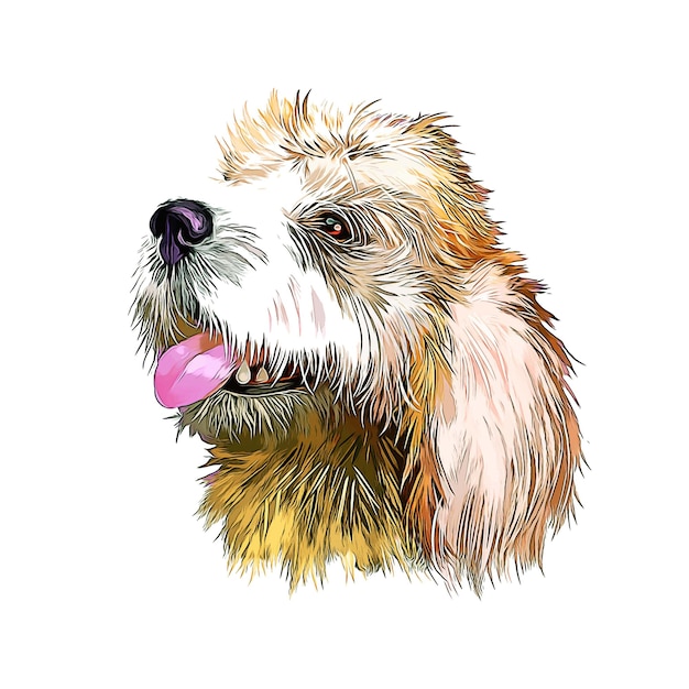Vetor briquet griffon vendeen raça cão aquarela esboço ilustração de pintura desenhada à mão
