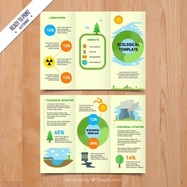 Vetor brochura infográfico ecológica