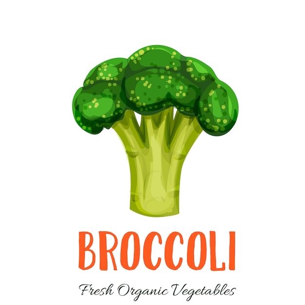 Brócolis vegetal