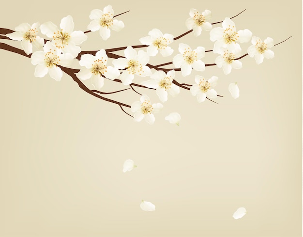 Brunch de árvore em flor com flores de primavera Ilustração vetorial
