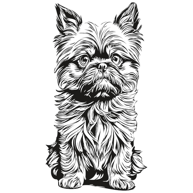 Bruxelas griffon cão t-shirt impressão preto e branco bonito desenho de contorno vetor realista raça animal de estimação
