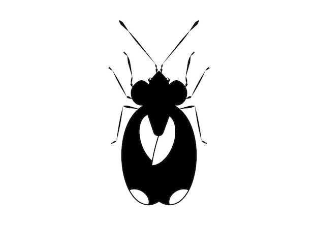 Vetor bug stephanitis pyri preto e branco isolado página para colorir de um bug stephanitis pyri