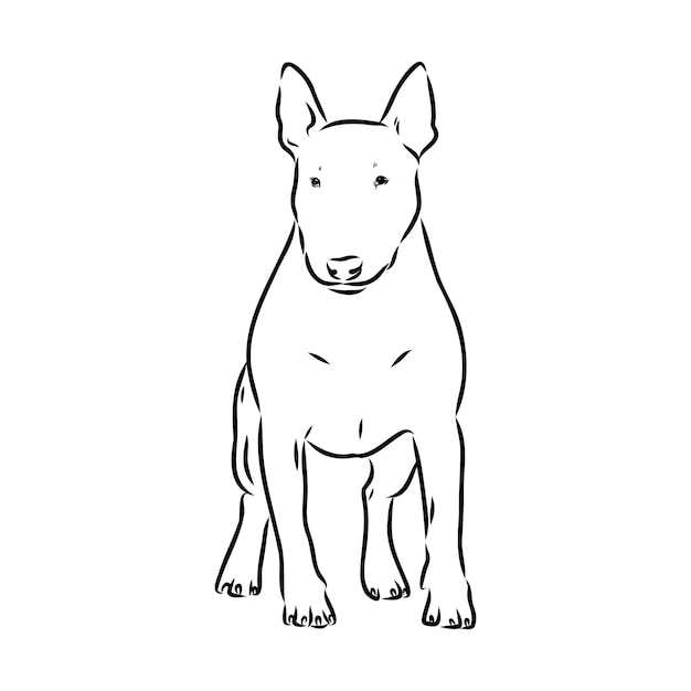 Bull terrier bull terrier cara engraçada ilustração em vetor preto e branco