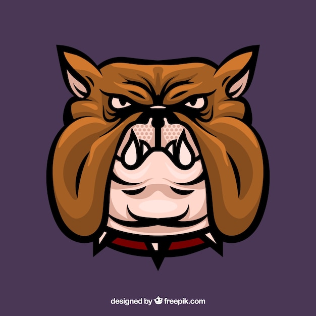 Bulldog cabeça pet