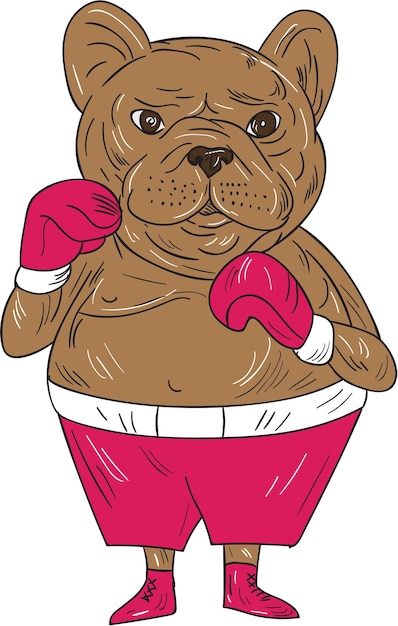 Bulldog francês pugilista postura de boxe desenho animado