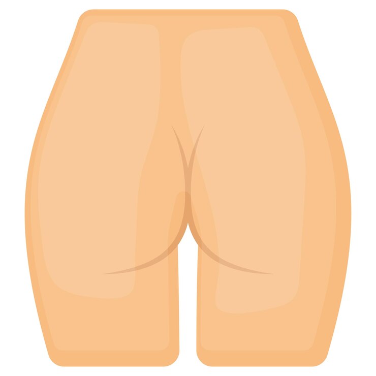 Vetor bunda humana desenho vetorial sistema de órgãos anatomia humana partes do corpo humano quadris ou conceito de visão traseira
