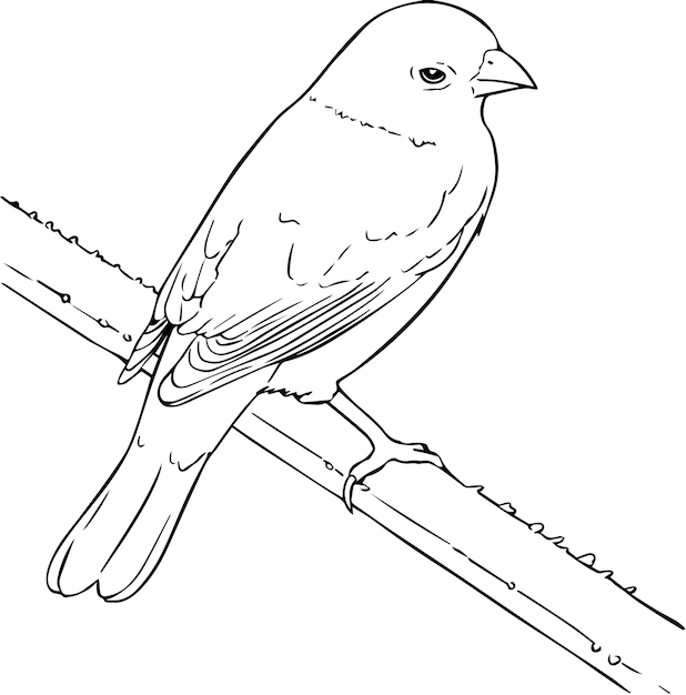 Buntin Bird em uma arte de linha de ramo