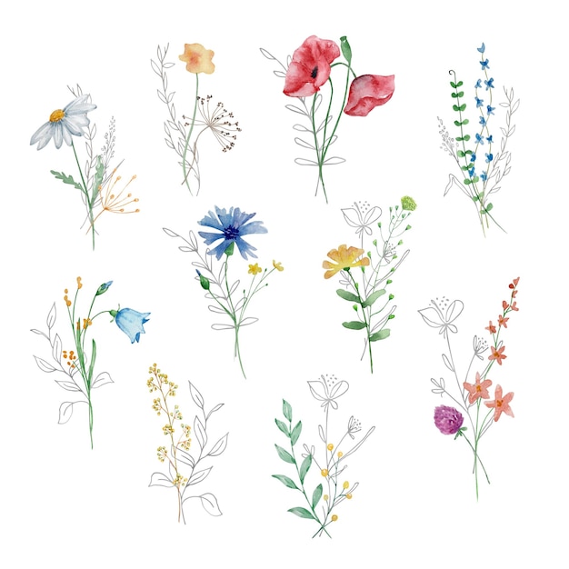 Vetor buquê aquarela de ilustração de flores silvestres para cartões