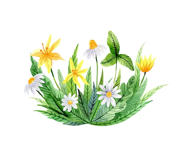 Buquê de aquarela com lindas flores silvestres isoladas em fundo branco clipart botânico