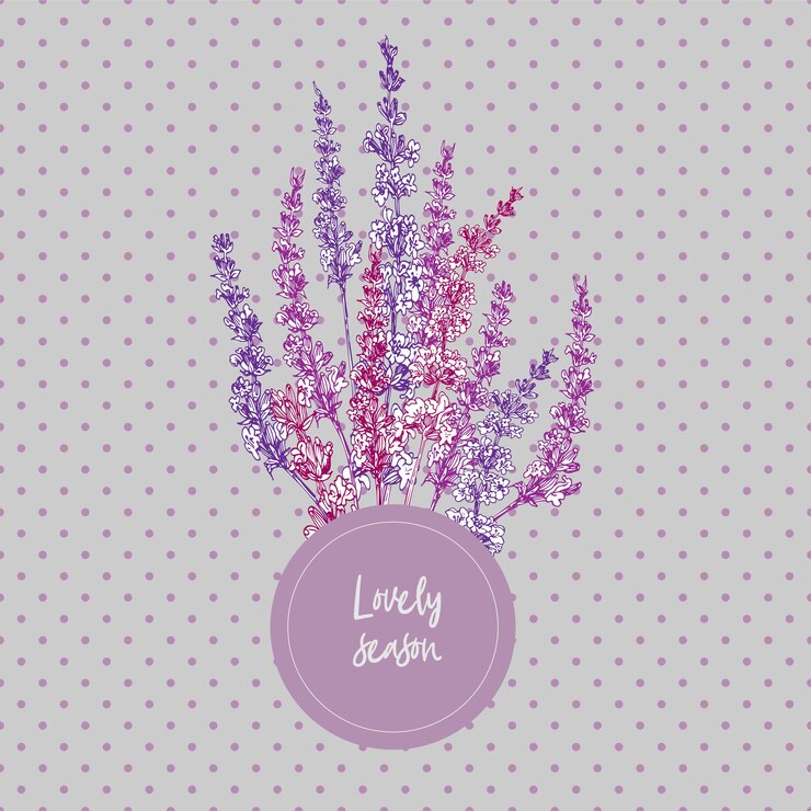 Vetor buquê de esboço de cor desenhado à mão de flor de lavanda e arcos bonitos isolados em fundo cinza frança provence padrão retrô para conceito de design romântico fresco lavanda natural